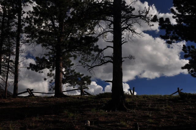 Sprague Lake